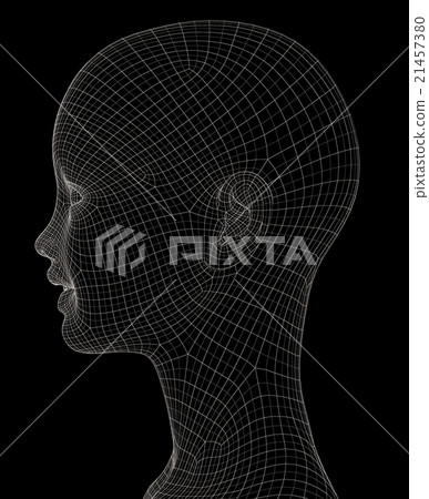 女性身體線框perming3DCG插圖素材 21457380