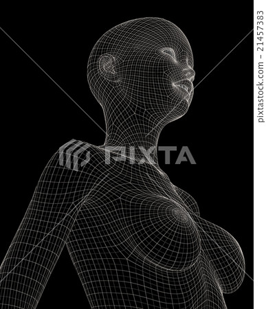 Women's body wire frame perming3DCG Illustration Material Material 21457383