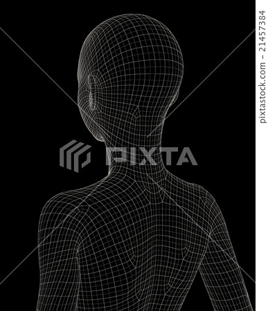 女性身體線框perming3DCG插圖素材 21457384