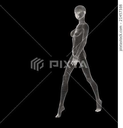 女性身體線框perming3DCG插圖素材 女性身體線框perming3DCG插圖素材 21457386