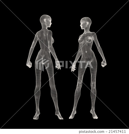 女性身體線框perming3DCG插圖素材 21457411