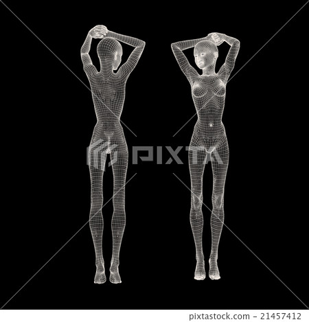 女性身體線框perming3DCG插圖素材 21457412