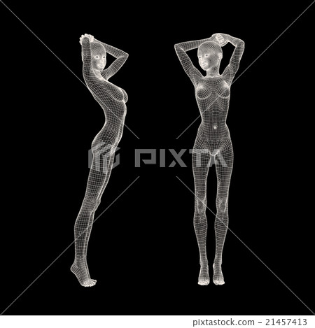 女性身體線框perming3DCG插圖素材 21457413