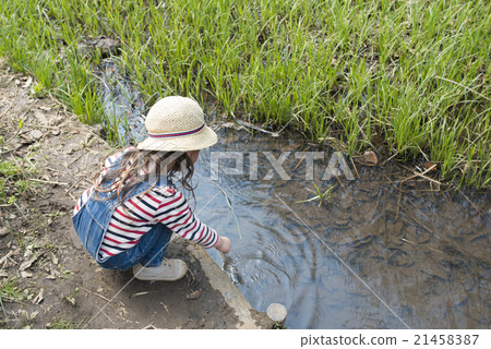 A girl playing in a stream 21458387