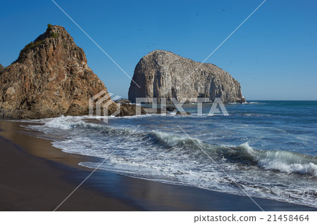 Seabird Colonies on the Coast of Chile Seabird Colonies on the Coast of Chile 21458464