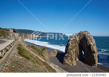 Seabird Colonies on the Coast of Chile 21458465