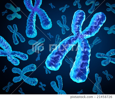 Chromosomes 21458726