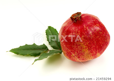 Pomegranade with leaf 21459294