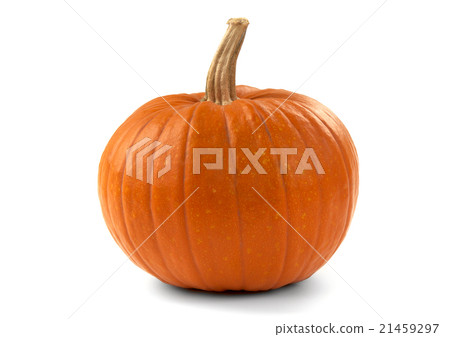 Pumpkin Pumpkin 21459297
