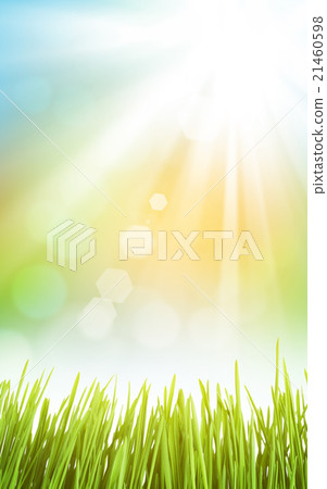 Abstract sunny spring background with grass Abstract sunny spring background with grass 21460598