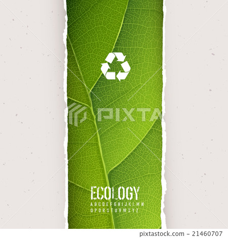 Green leaf texture with recycling symbol. 21460707