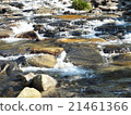 Beautiful clear stream full of life force 21461366