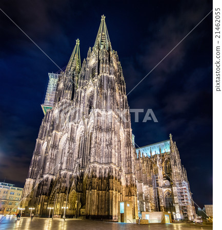 Night view of Cologne Cathedral - Germany Night view of Cologne Cathedral - Germany 21462055