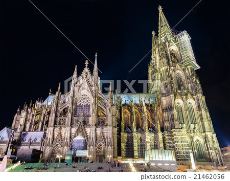 Night view of Cologne Cathedral - Germany Night view of Cologne Cathedral - Germany 21462056