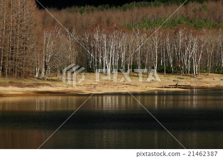 Lakefront of late autumn 21462387