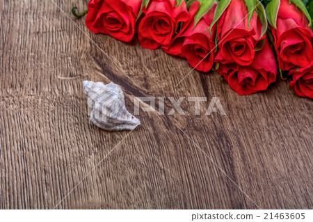 White shell and roses on wooden background White shell and roses on wooden background 21463605