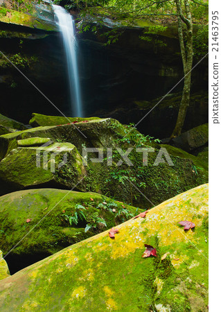 Thamyai Waterfall 21463795