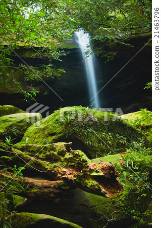 Thamyai Waterfall 21463796