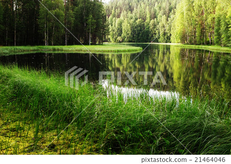 view of the river in Finland view of the river in Finland 21464046