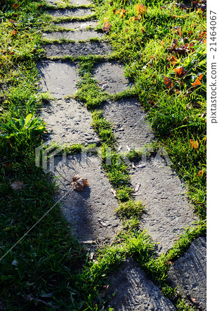 big stones paved path in greens big stones paved path in greens 21464067