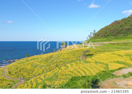 1000張飯的露台 21465395