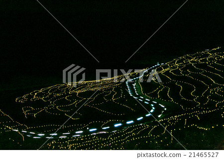 A thousand-tinned white sparkle 21465527