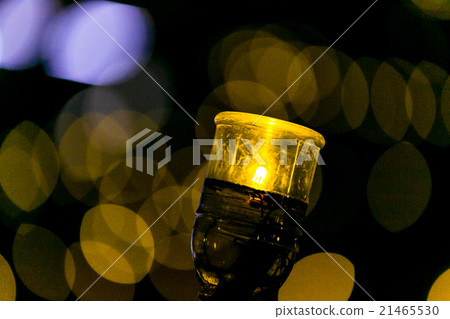 Light Up Pet Botar 1,000 pieces Light Up Pet Botar 1,000 pieces 21465530