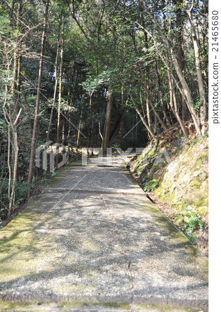 Pedestrian entrance Pedestrian entrance 21465680