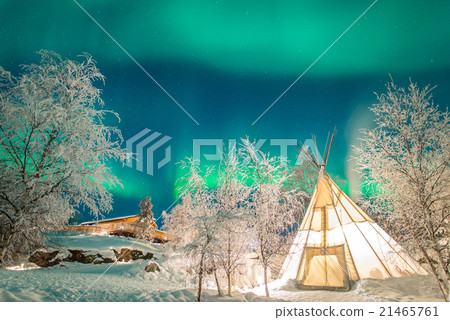 Aurora Aurora 21465761