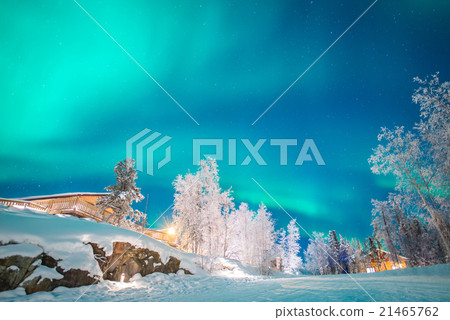 Aurora Aurora 21465762