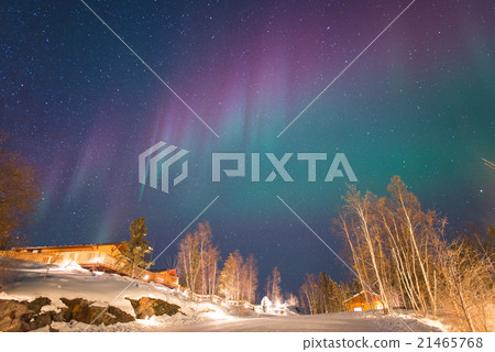 Aurora Aurora 21465768