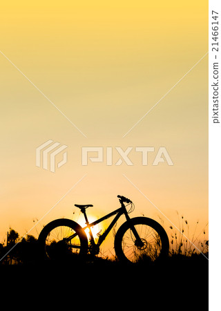 yellow fat tire bike