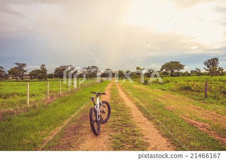 Mountain biking on single track beautiful nature 21466167