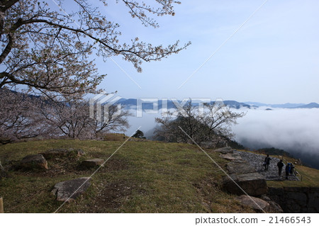 From Takeda Castle 21466543