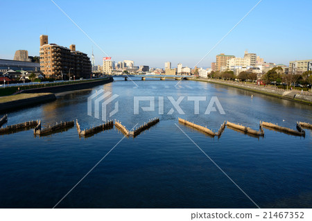 Shiro oo fishing in Fukuoka City Muromi River 21467352