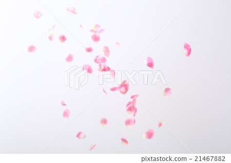 花瓣，春天圖像素材 21467882