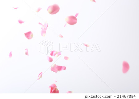 花瓣，春天圖像素材 21467884