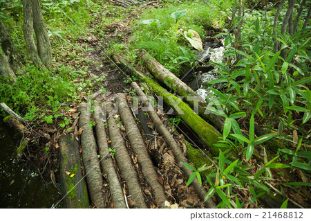 Handmade bridge in Ogawa 21468812