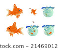 Goldfish illustration Goldfish illustration 21469012