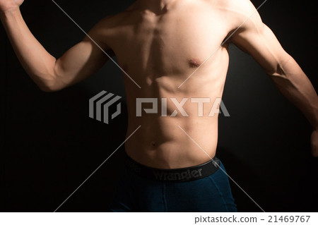 Muscle abdominal muscle Muscle abdominal muscle 21469767