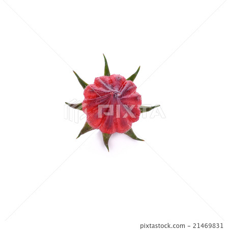 roselle fruit isolated on white background roselle fruit isolated on white background 21469831