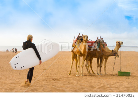 Beach of Essaouira, Morocco, Africa. Beach of Essaouira, Morocco, Africa. 21470022