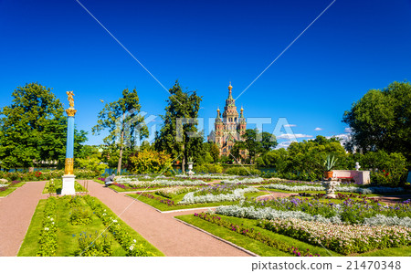 View of St. Peter and Paul Cathedral in Peterhof View of St. Peter and Paul Cathedral in Peterhof 21470348