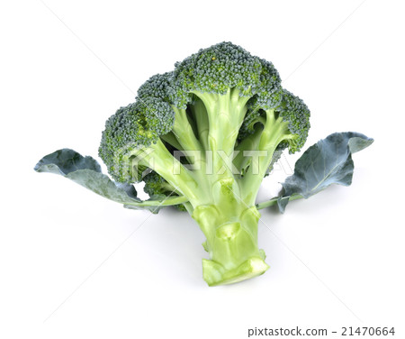 Broccoli isolated on white background 21470664
