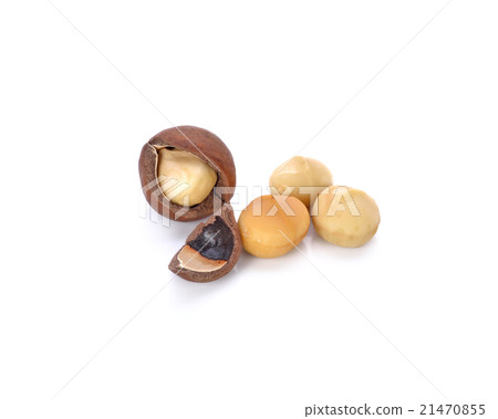 macadamia nuts on white background macadamia nuts on white background 21470855
