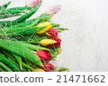 tulips on a white background 21471662