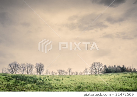 Tree silhouettes on a green field Tree silhouettes on a green field 21472509