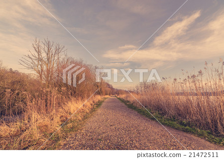 Nature trail with naked trees Nature trail with naked trees 21472511