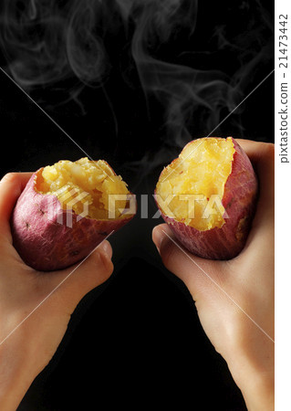 Sweet potato Sweet potato 21473442