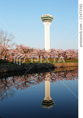 五棱郭塔和櫻花出現在水面上 21473592